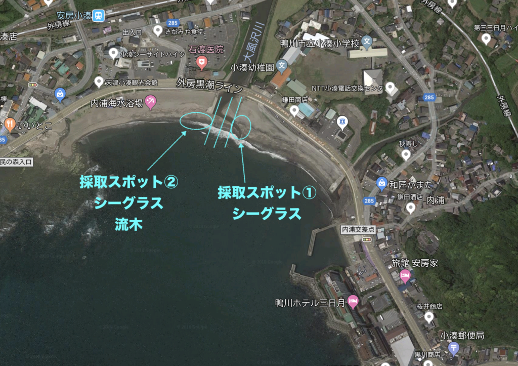 シーグラスが３０分で１kg拾える千葉房総の穴場海水浴場の見つけ方 Have A Good Job